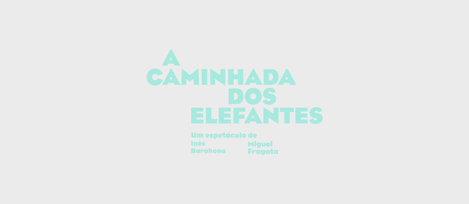 A caminhada dos elefantes