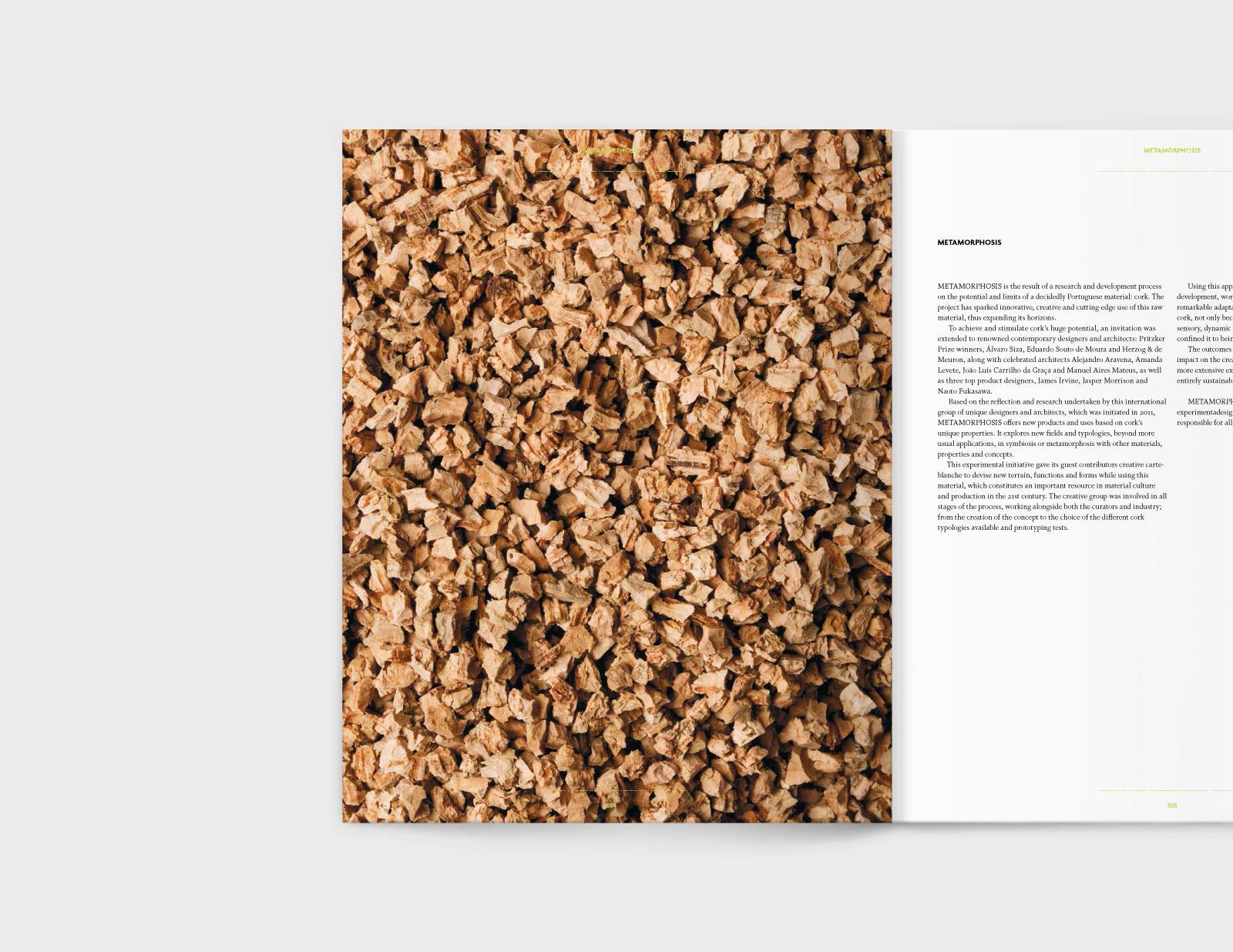 Metamorphosis ⟐ Book
